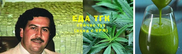 индика Волоколамск