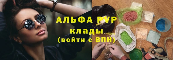 индика Волоколамск