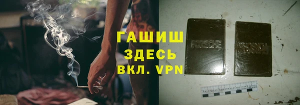 индика Волоколамск