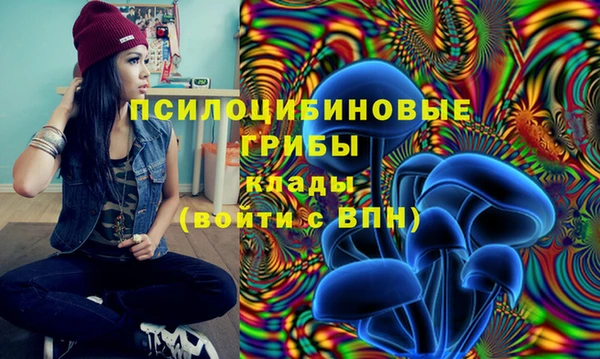молекула духа Вяземский