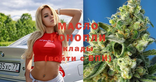 индика Волоколамск