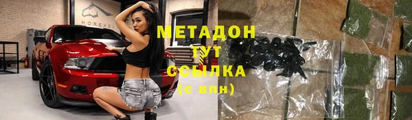 индика Волоколамск