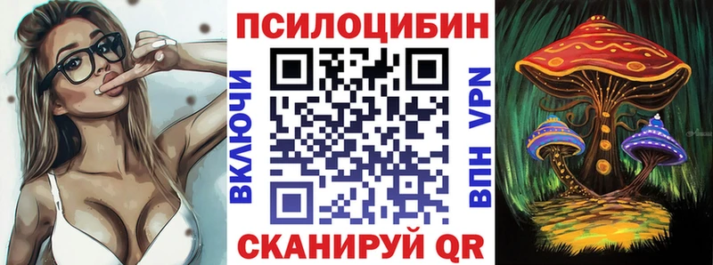 продажа наркотиков  mega зеркало  Псилоцибиновые грибы Psilocybine cubensis  Заинск 